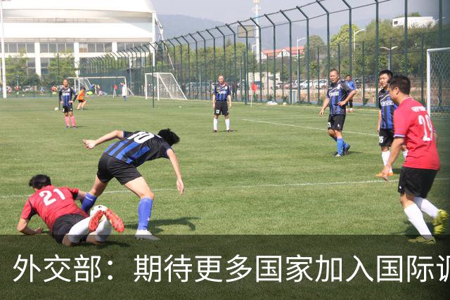 外交部：期待更多国家加入国际调解院