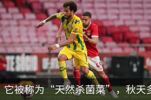 它被称为“天然杀菌菜”，秋天多吃，一预防感冒 ，二健脾开胃促消化