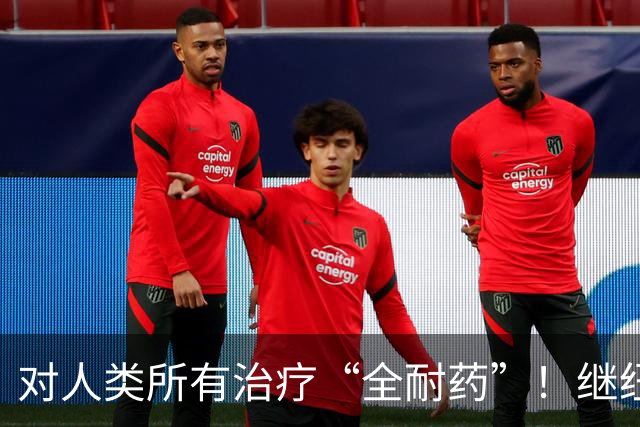 对人类所有治疗“全耐药”！继纽约后，肯尼亚发现第二例“超级真菌”！