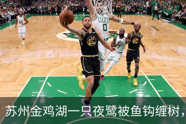 苏州金鸡湖一只夜鹭被鱼钩缠树，市民爬树救下，“有6个鱼钩，脚和翅膀全被钩住”，公园称此处并非垂钓点
