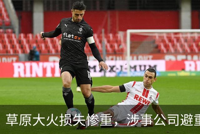 草原大火损失惨重，涉事公司避重就轻，蒙方怒了：有必要向日企索赔
