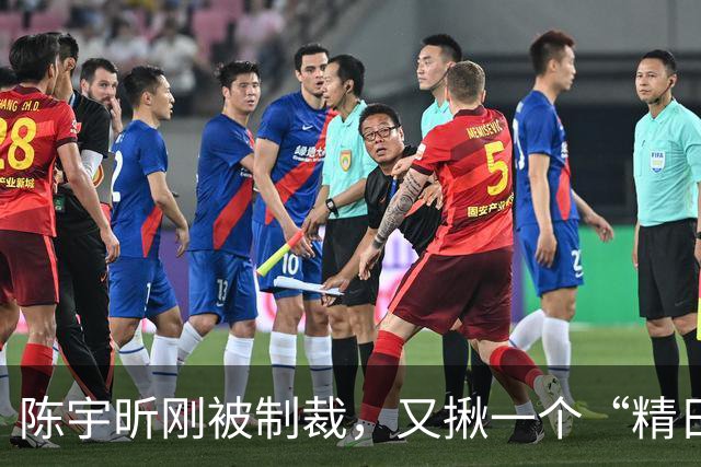陈宇昕刚被制裁，又揪一个“精日”人员：竟然还是本土企业老板