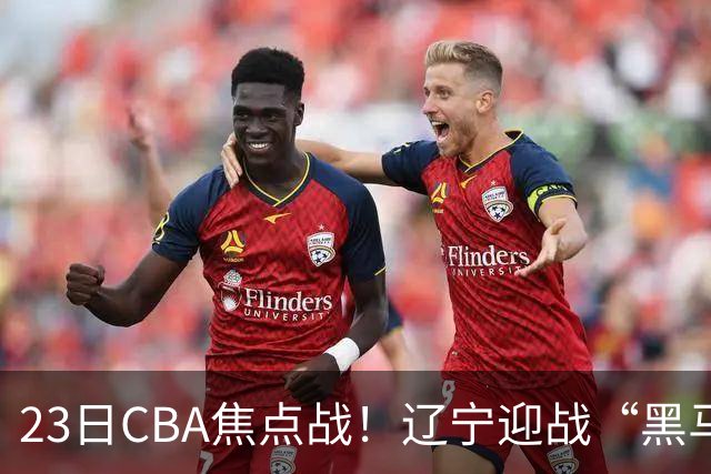 23日CBA焦点战！辽宁迎战“黑马”，段睿骐战旧主，乌戈冲击3连胜