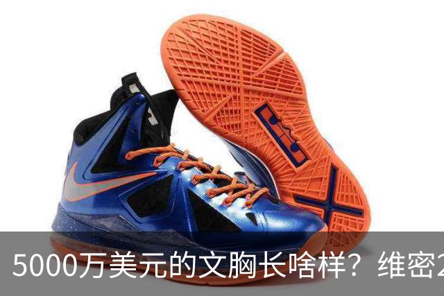 5000万美元的文胸长啥样？维密2026大秀，奚梦瑶回归，刘雯第十次登台，贺聪环节开场，国模好精彩~