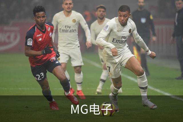 MG电子公司介绍展示图